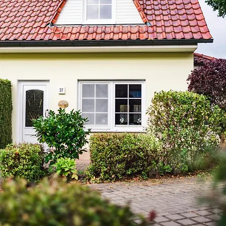 Sandkorn * زنغست